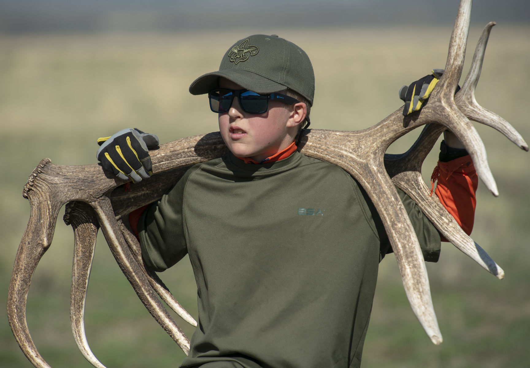 Boy Scouts antler collection
